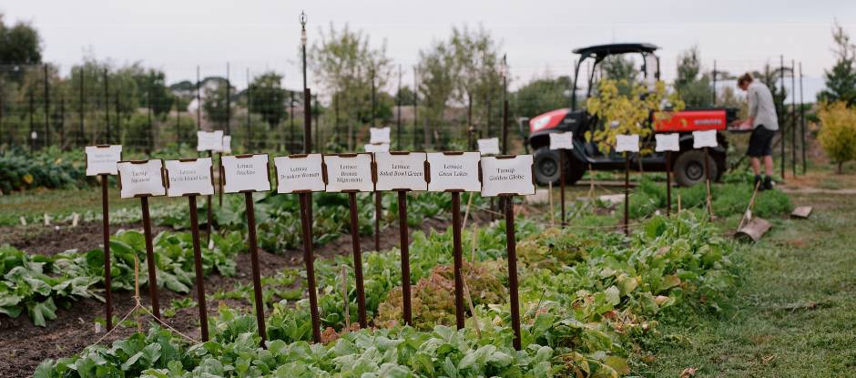 5 outstanding restaurants where nothing goes to waste